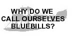 Why "Bluebills"?
