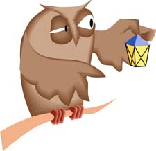 Wise Owl